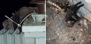 Kayseri'de Alzheimer Gündüz Bakım Evi Toplantısı