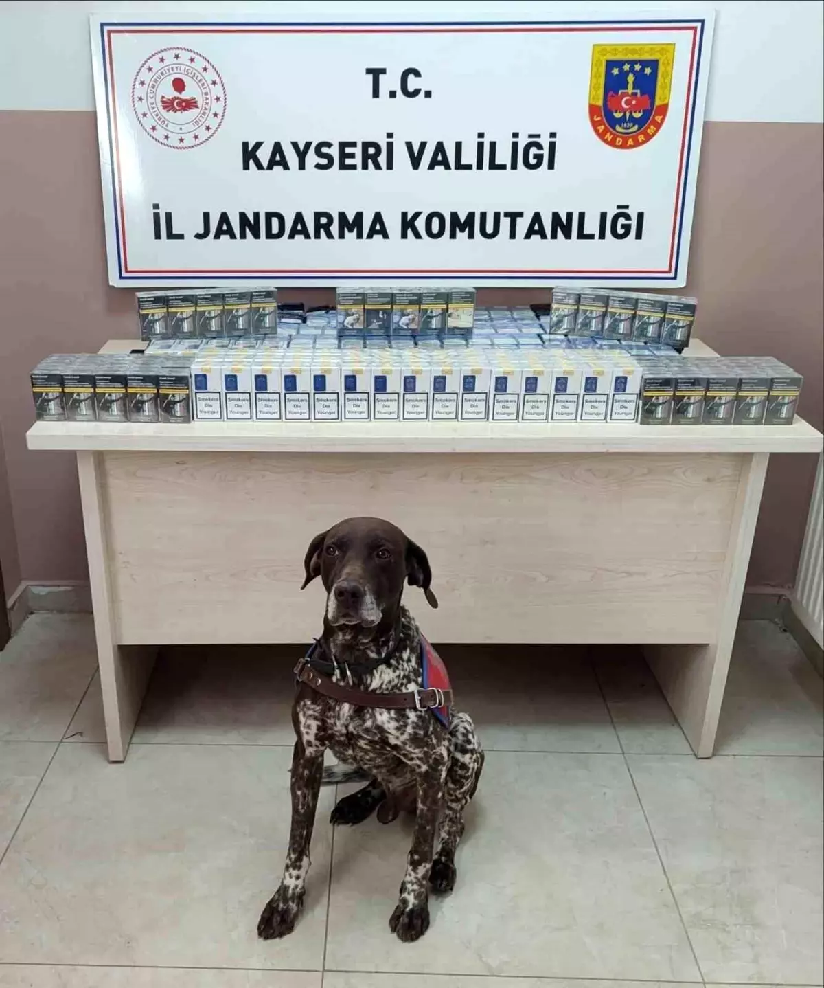 Kayseri'de 640 Paket Bandrolsüz Sigara Ele Geçirildi