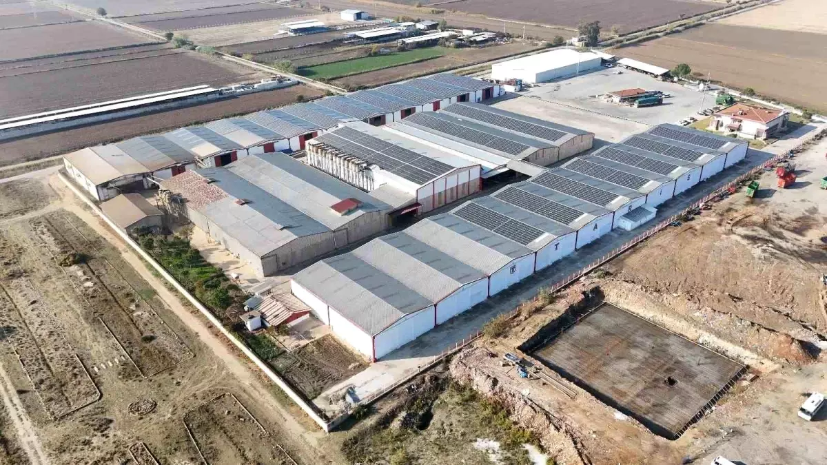 Aydın'da Güneş Enerjisi Sistemi Açılışı