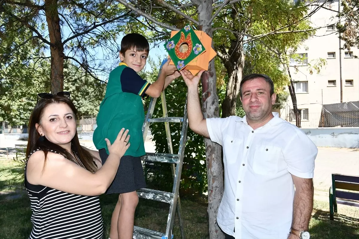 Kuş Yuvaları ile Renkli Hayaller