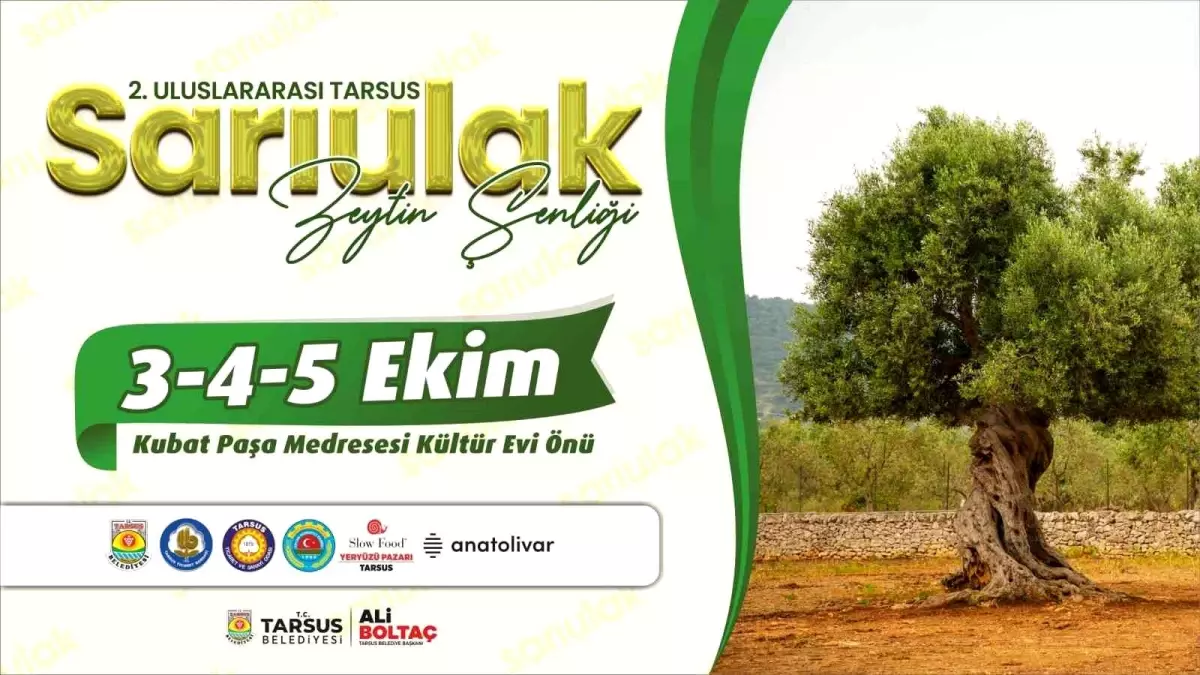 Tarsus'ta Sarı Ulak Zeytin Şenliği Başlıyor