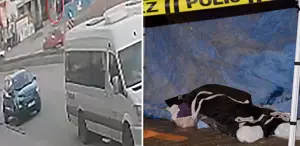 TSK Armoni Mızıkası Konseri Ankara'da