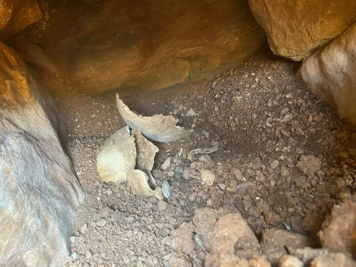 Muğla'da Mezar Bulundu