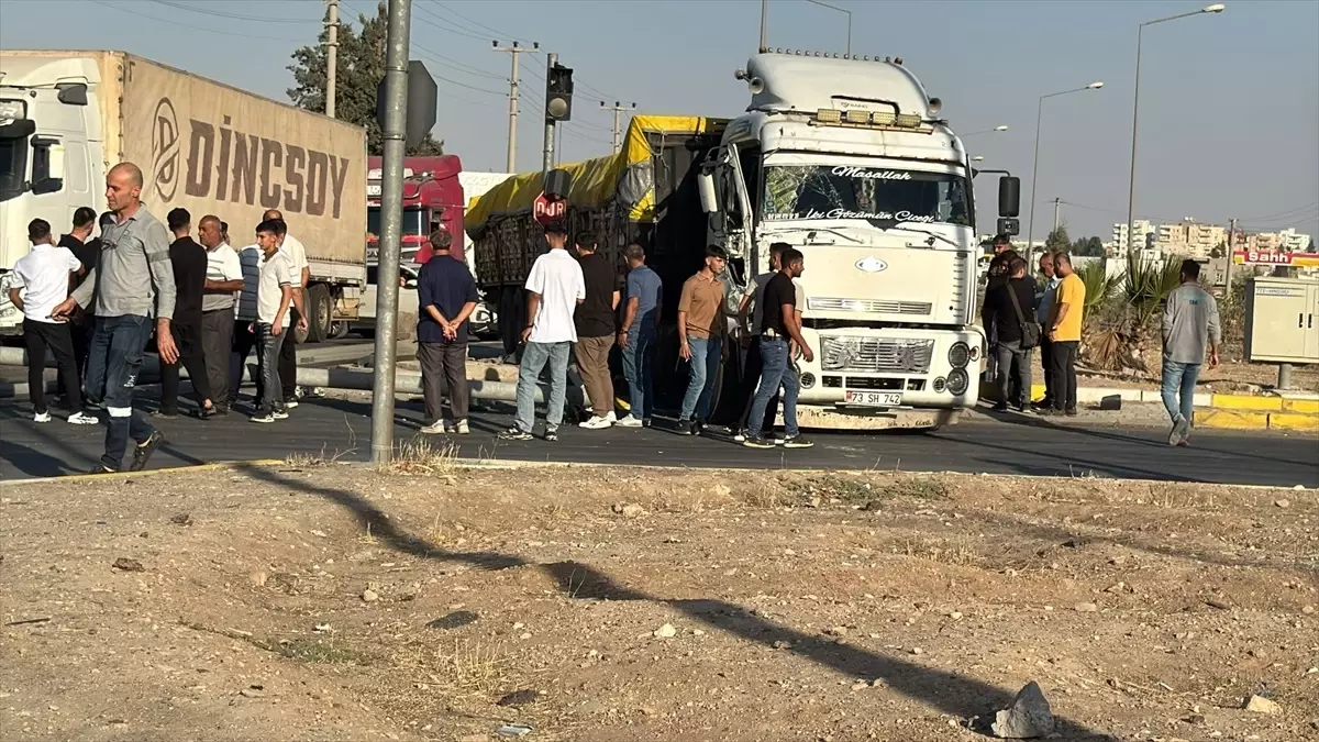 Nusaybin'de Tır, Sinyalizasyon Direğine Çarptı