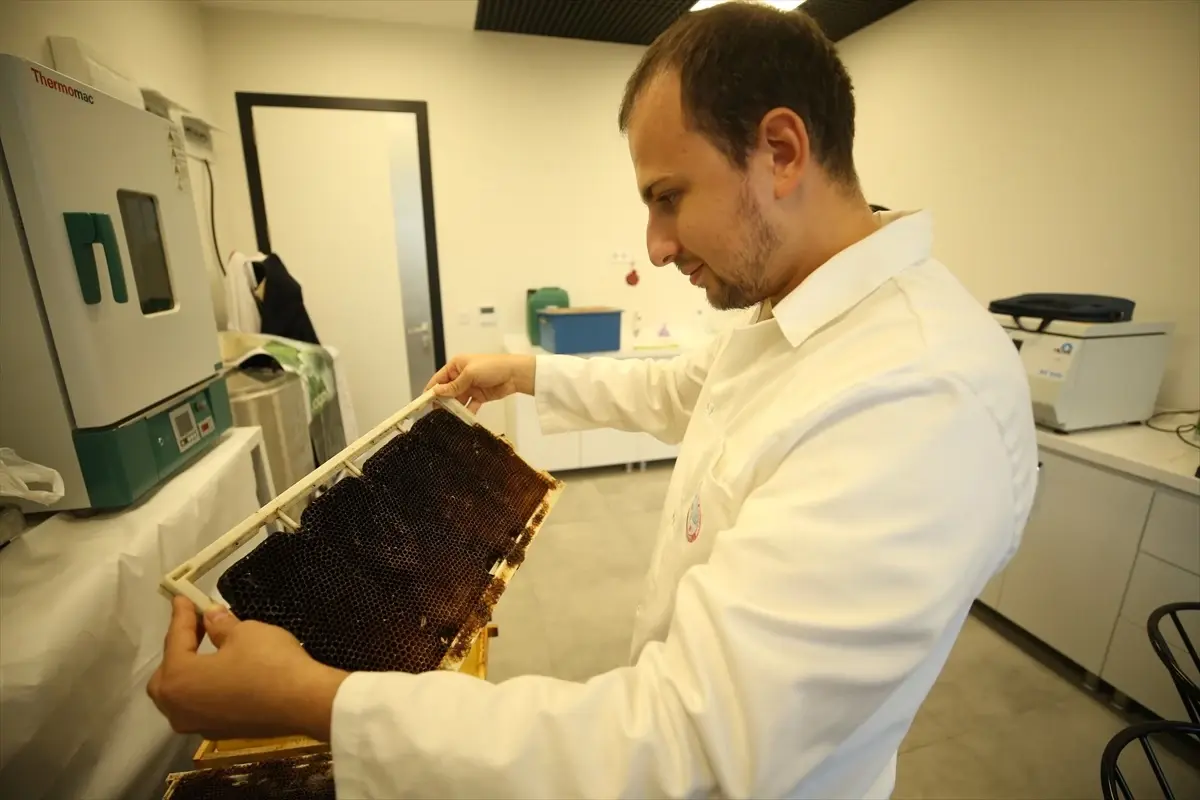 Nanoteknoloji ile Arıların Korunması