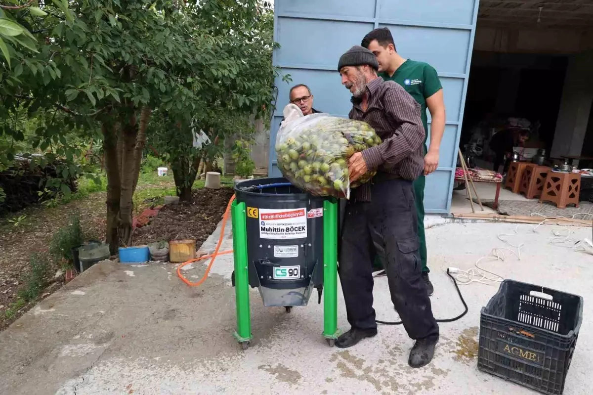 Antalya'da Ceviz Soyma Makineleri Üreticilerin Hizmetinde