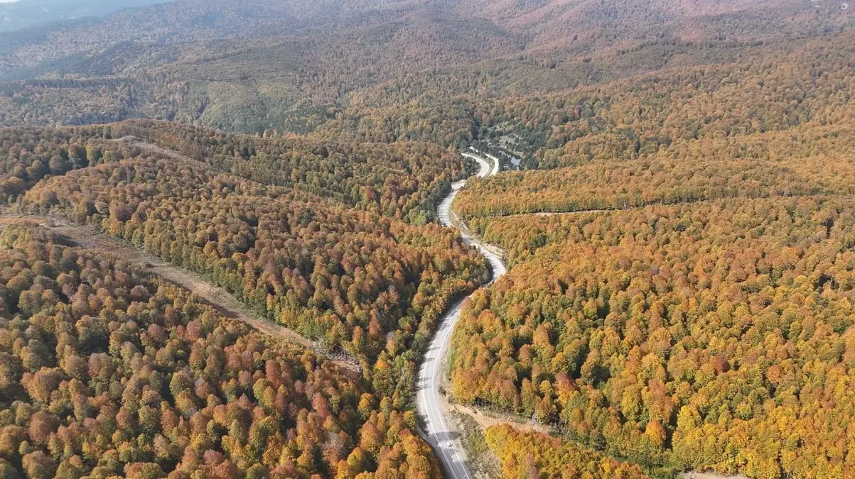 Domaniç Dağları'nda Sonbahar Güzelliği