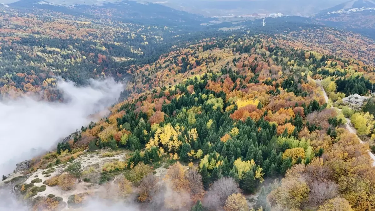Uludağ'da Sonbahar Güzellikleri
