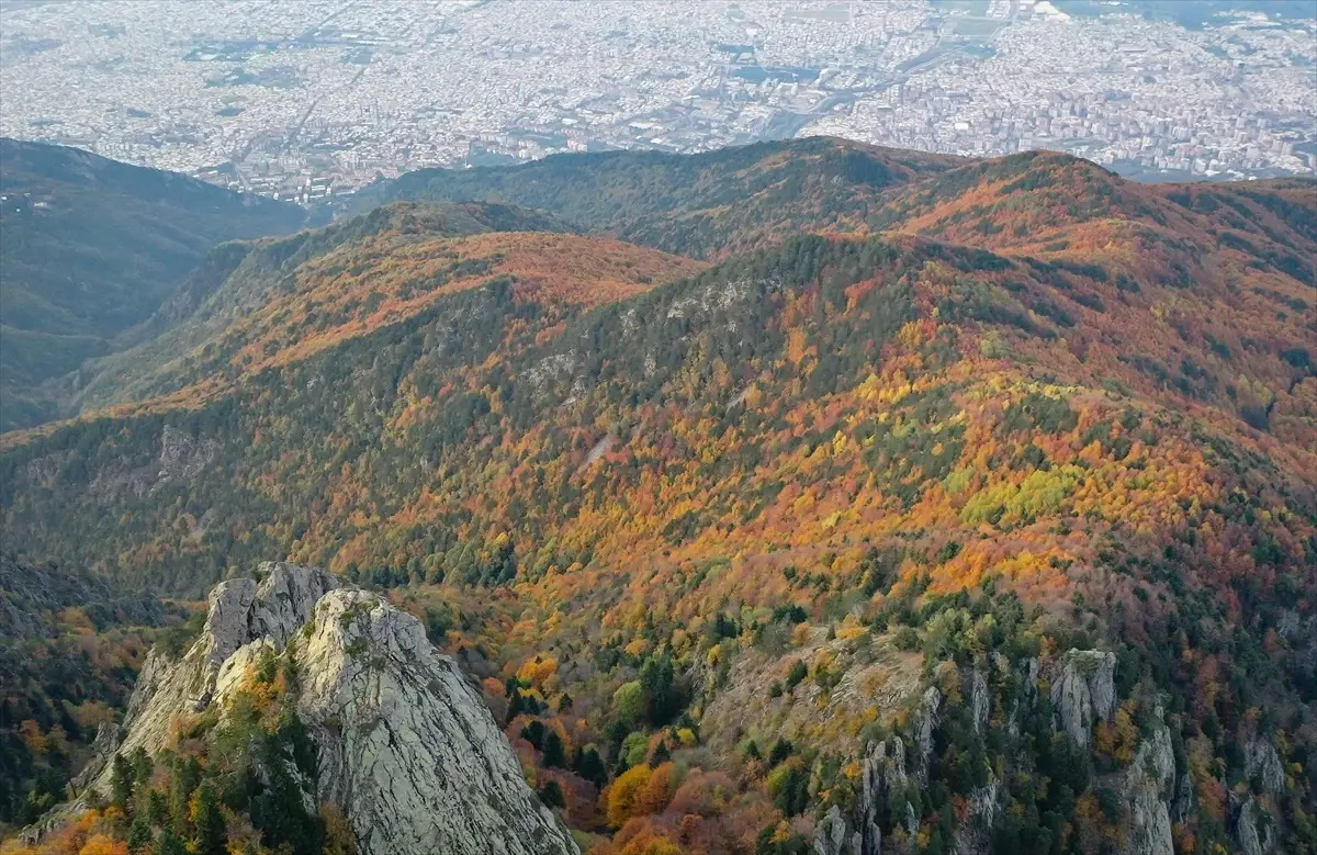 Uludağ'daki Sonbahar Renkleri