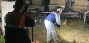 Çam Balı Hasat Şenliği Muğla'da Yapıldı