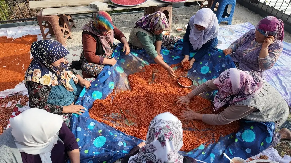 Demirci'de Geleneksel Tarhana Üretimi