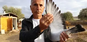 TREDAŞ'tan Leylek Yuvalarına Dronlu Bakım