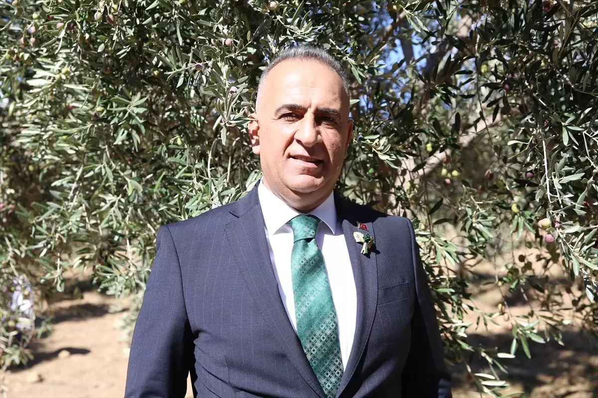 9. Zeytin Festivali Altınözü'nde Başladı