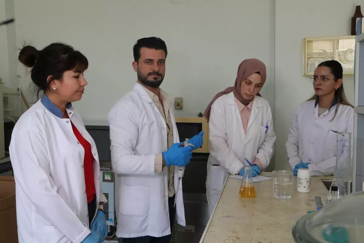 Doğal Koruma ile Gıda Raf Ömrü Uzatıldı