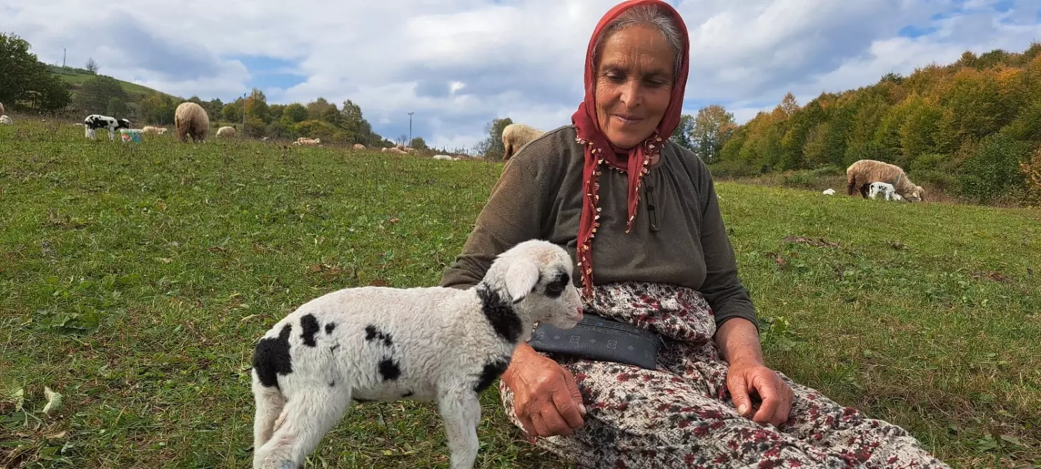 Çoban Anne Fatma Hülür'ün Hikayesi