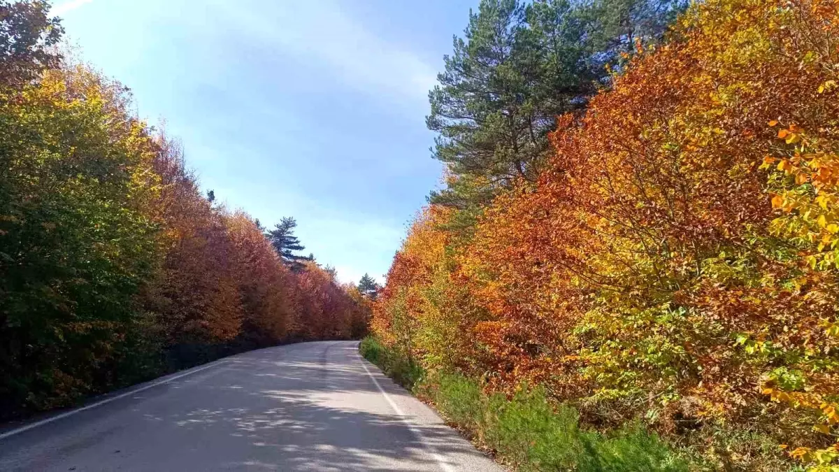 Pazaryeri'nde Sonbahar Güzelliği