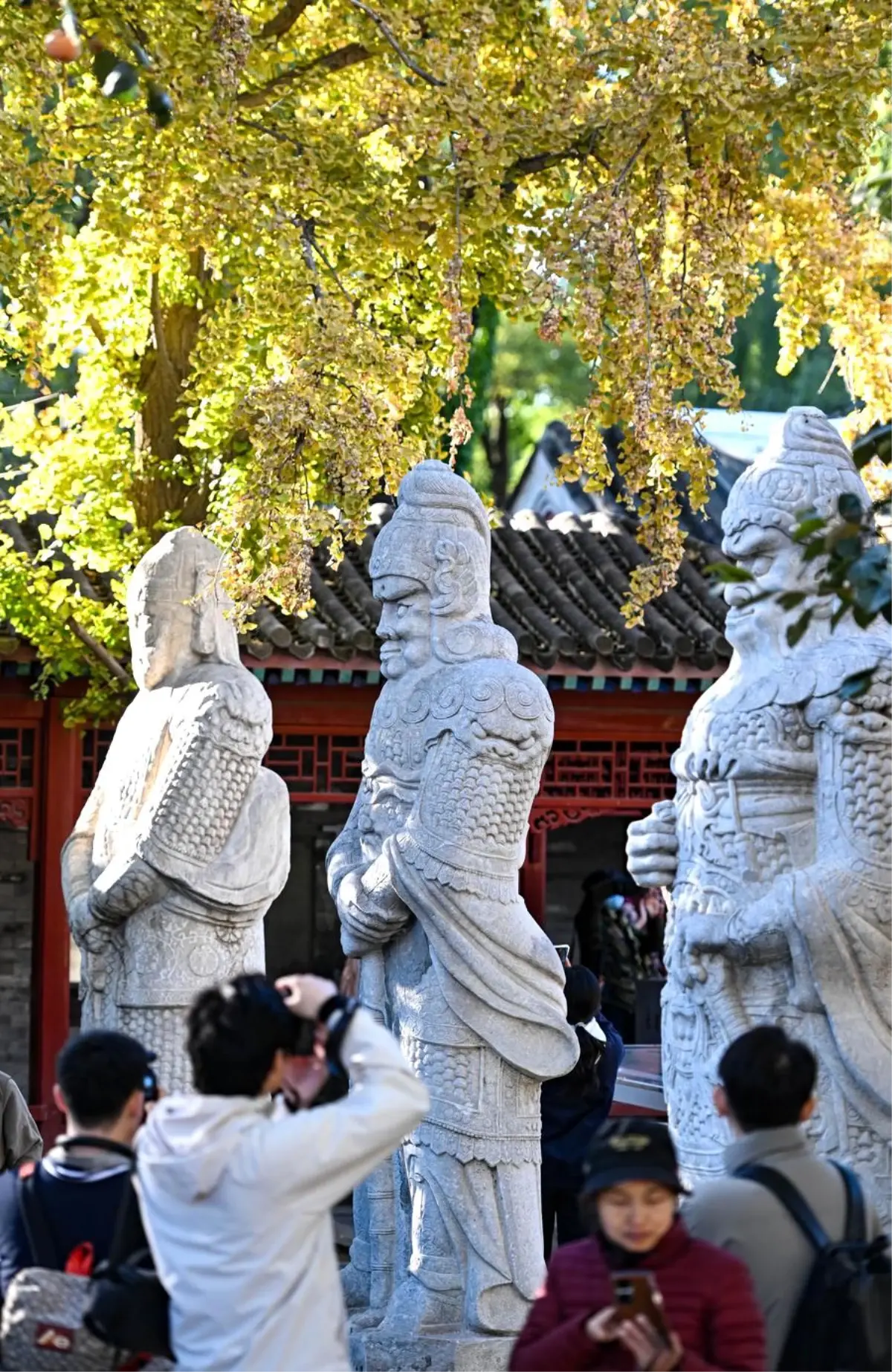 Beijing'deki Müzede Sararan Yapraklarla İlgi Çekiyor