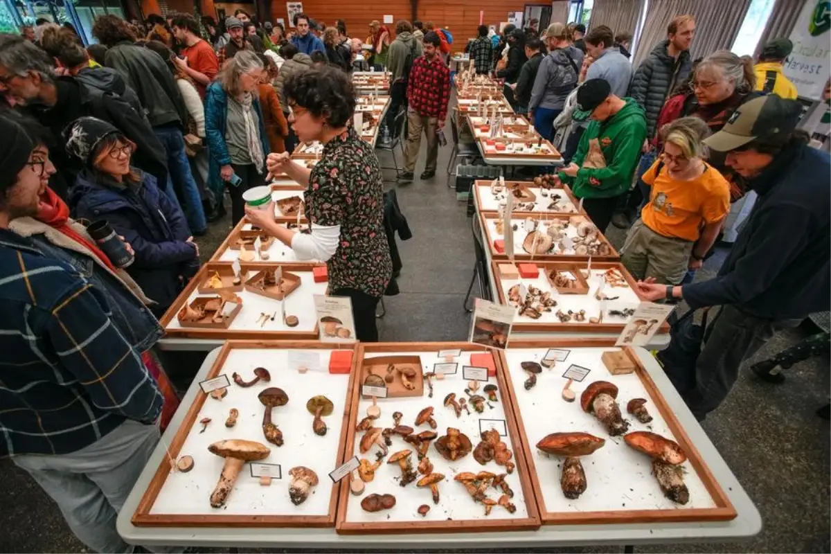 Vancouver Mantar Fuarı Düzenlendi