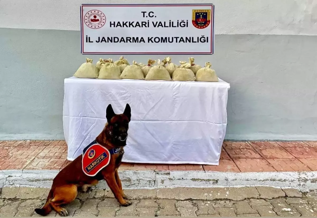 Hakkari'de 15 Kilo Esrar Ele Geçirildi