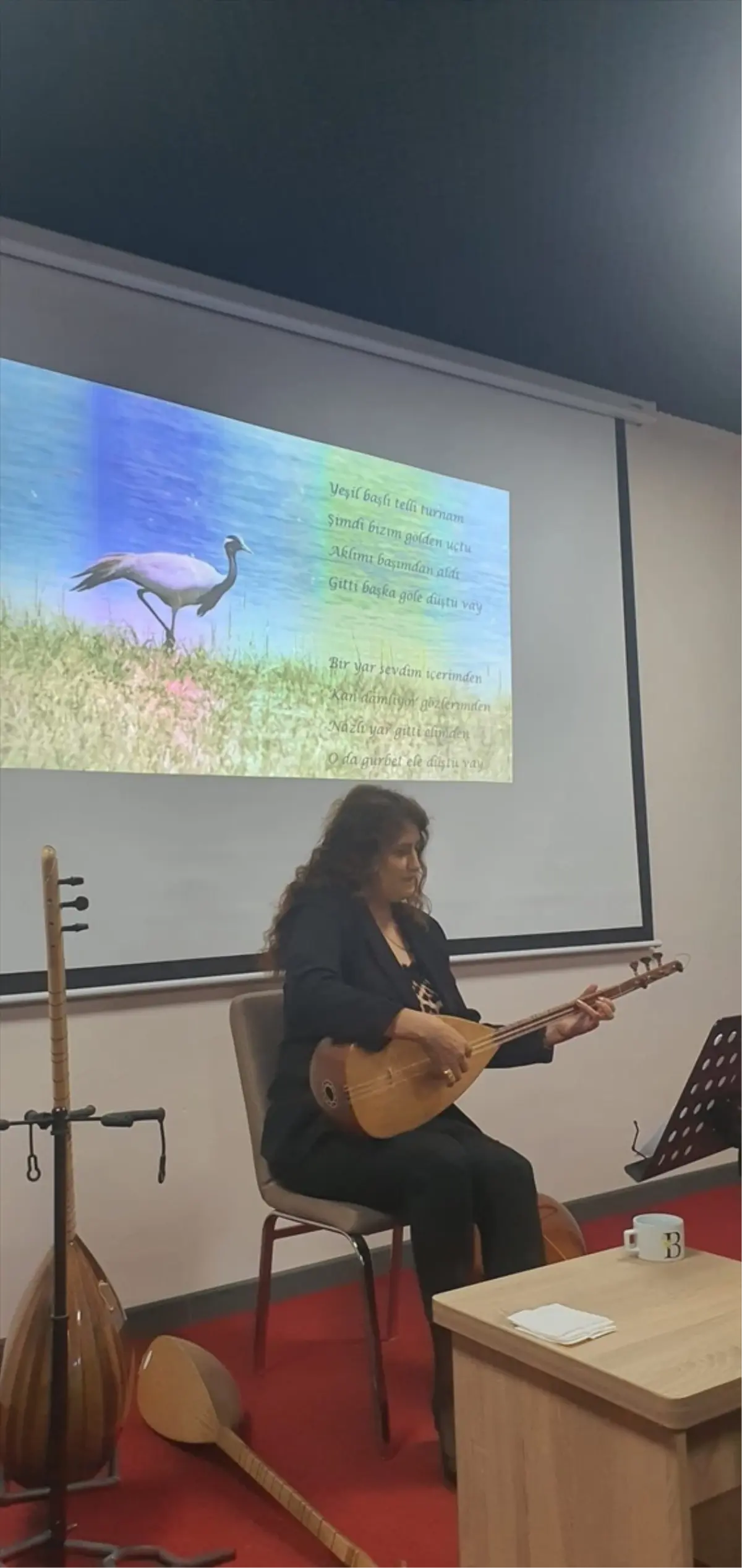 Turna Temalı Konser Amasya'da