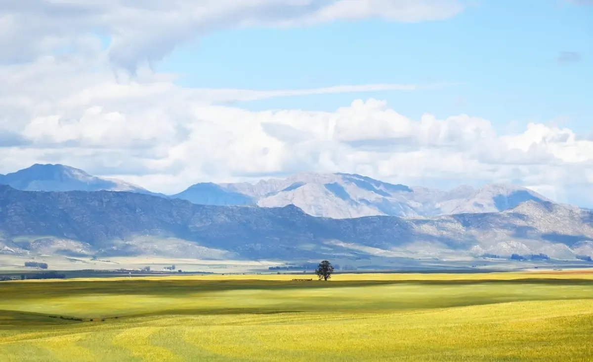 Deprem ve Zemin Yapıları: Dağlık Alanlar Daha Güvenli