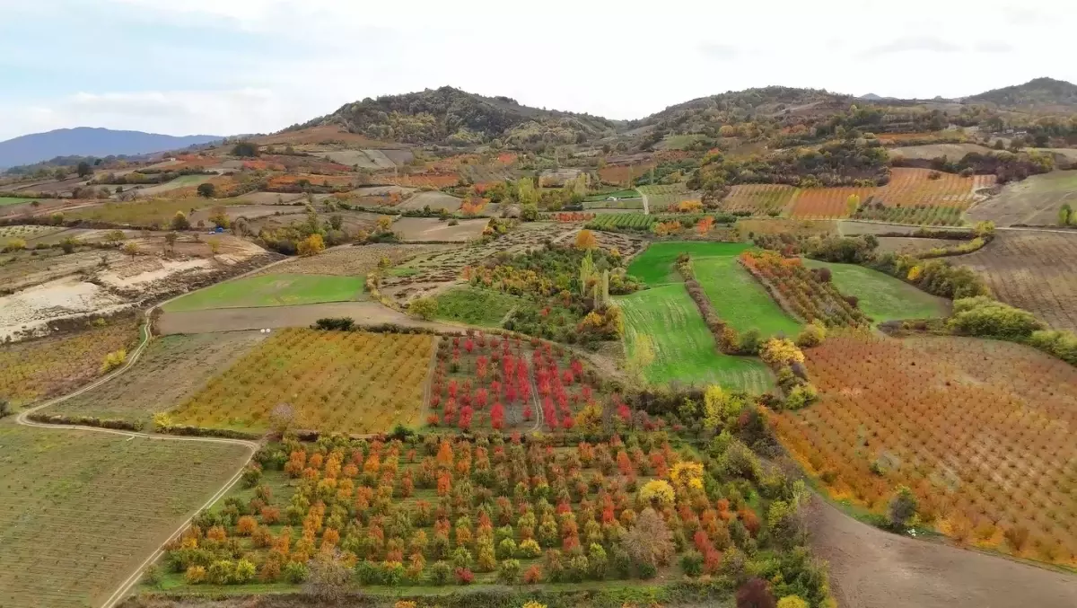 İnegöl'de Sonbahar Renkleri