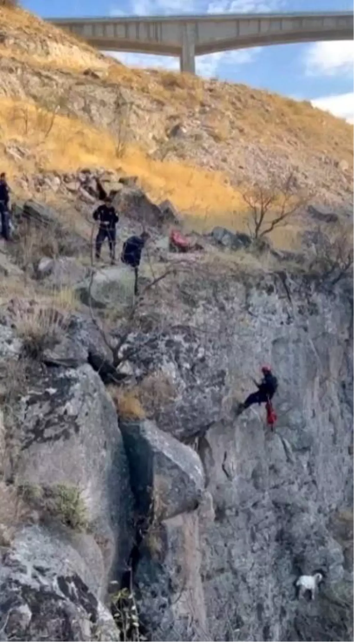 Kayseri İtfaiyesi Uçurumda Mahsur Kalan Keçiyi Kurtardı