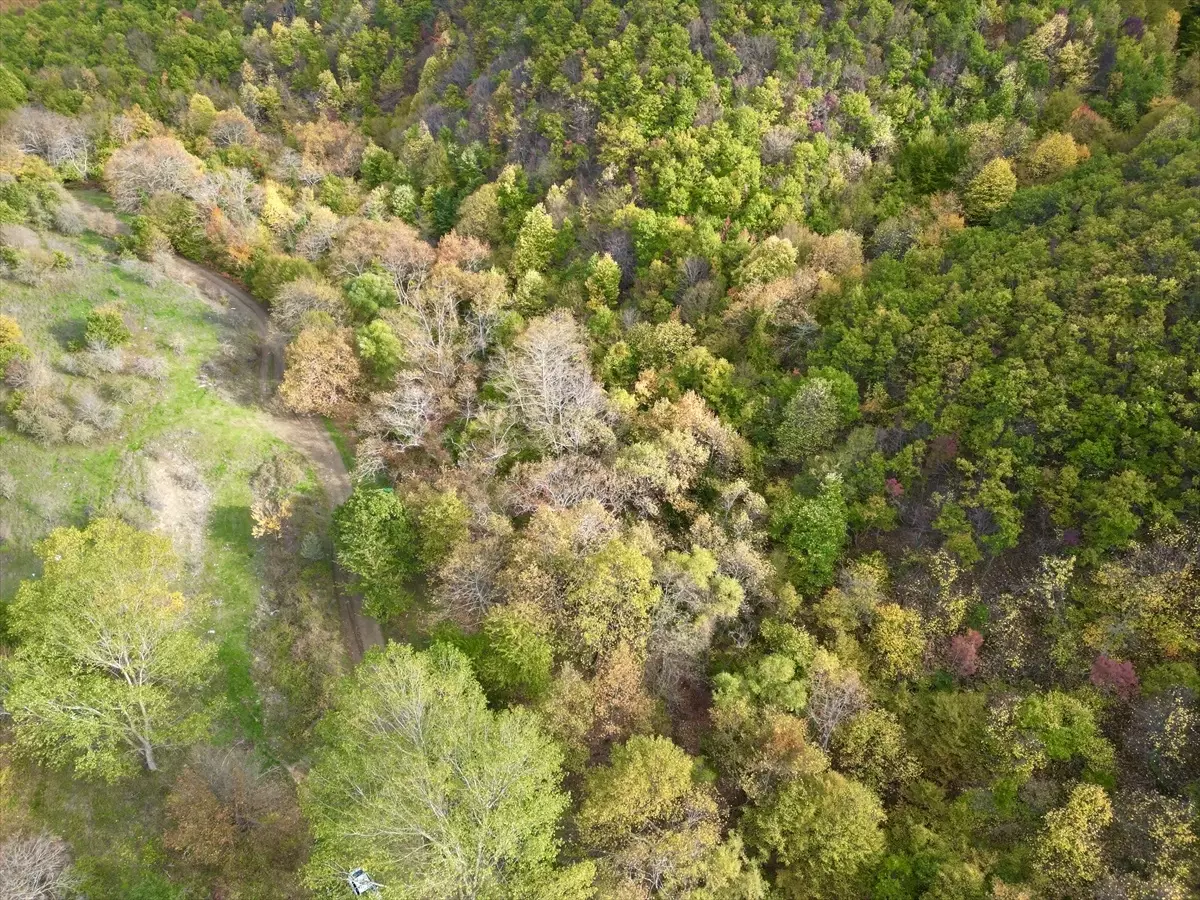 Tekirdağ'da Sonbahar Güzellikleri