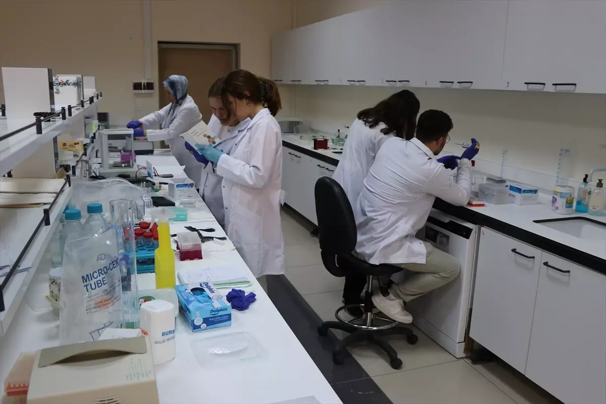 KSBÜ'den Eklem Hastalıklarına Yanıt: Bor Türevli Çözüm