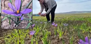 Trabzon Üniversitesi'nde Yeşilçam Etkinliği