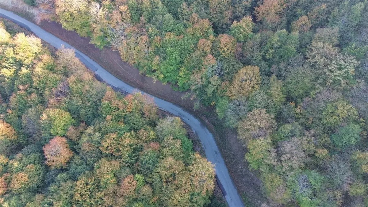 Yunt Dağı'nda Sonbahar Güzellikleri