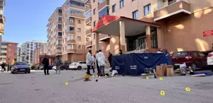 AJet'in Yeni Boeing 737-8 MAX Uçağı İstanbul'a Geldi