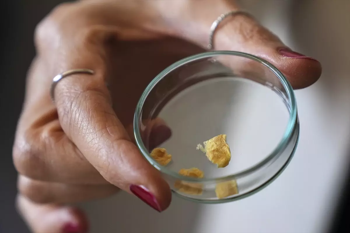 Balık Kılçıklarından Kolajen Üretimi