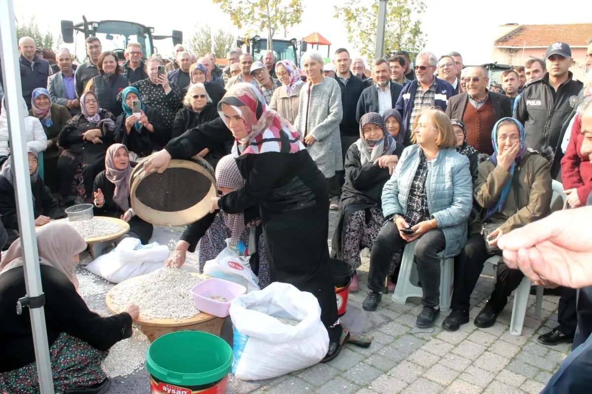 Manyas'ta 1. Kazak Fasulyesi Hasat Festivali Düzenlendi