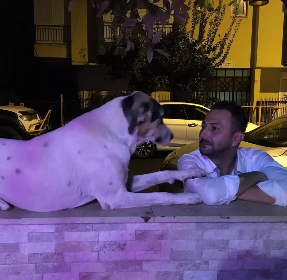 Emekli Polis Köpeği Vurdu