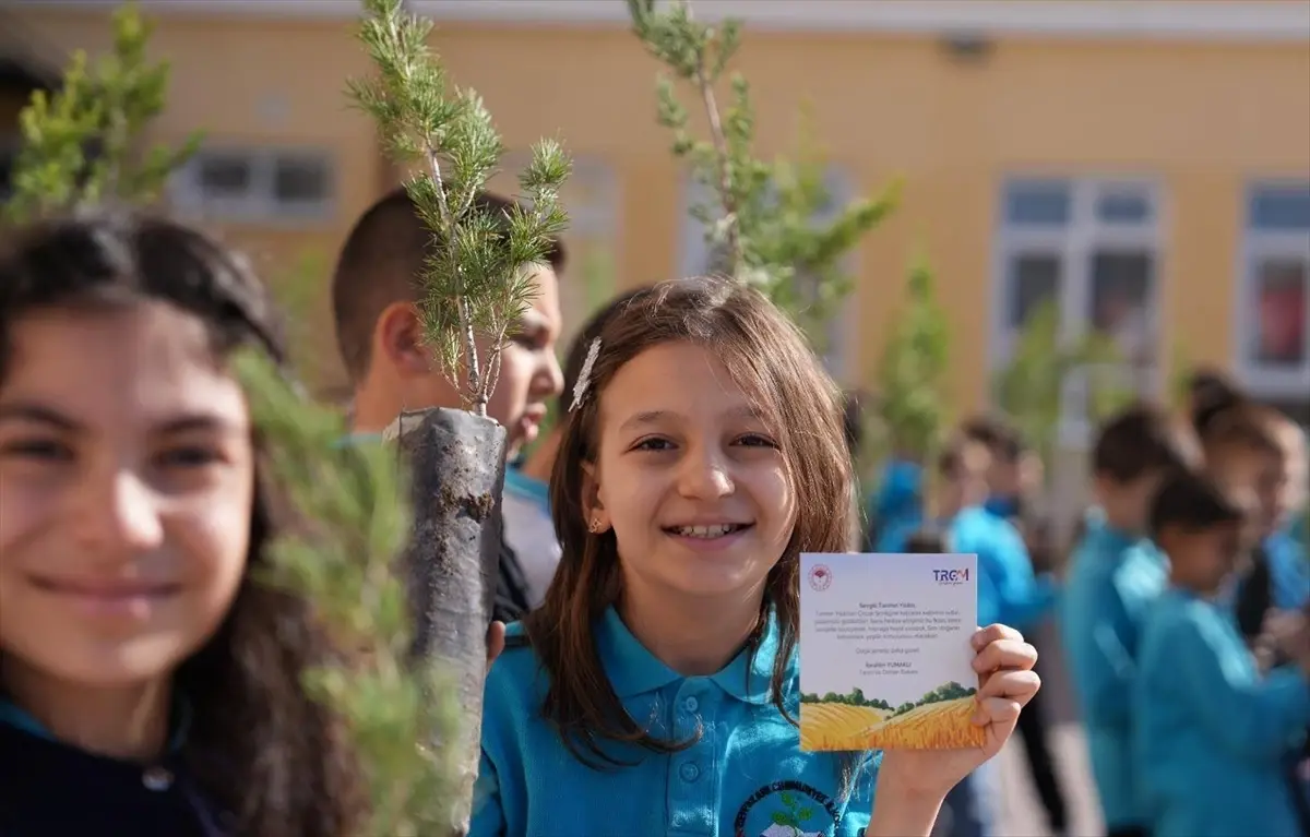 Beypazarı'nda Çocuklara Fidan Hediye Edildi
