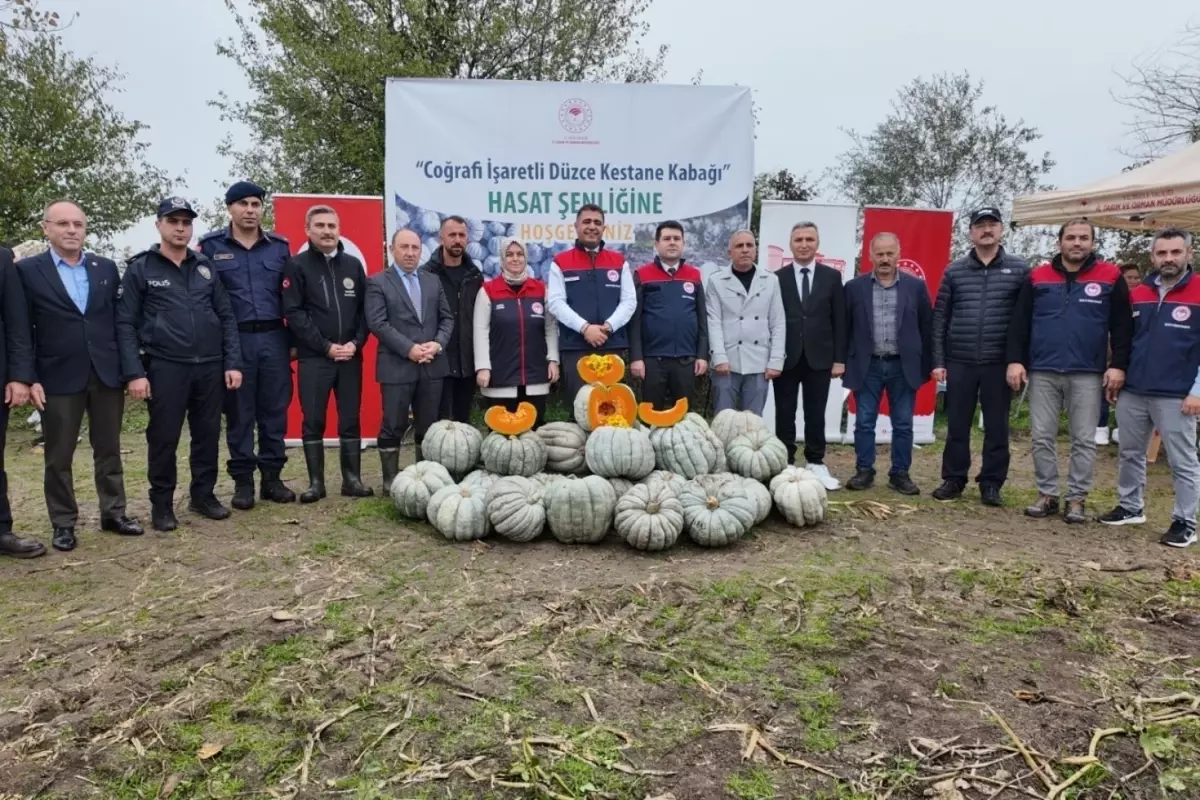 Düzce'de Kestane Kabağı Hasadı Başladı: 10 Bin Tonun Üzerinde Rekolte Bekleniyor